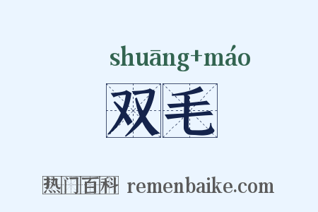 双毛是什么意思的图片